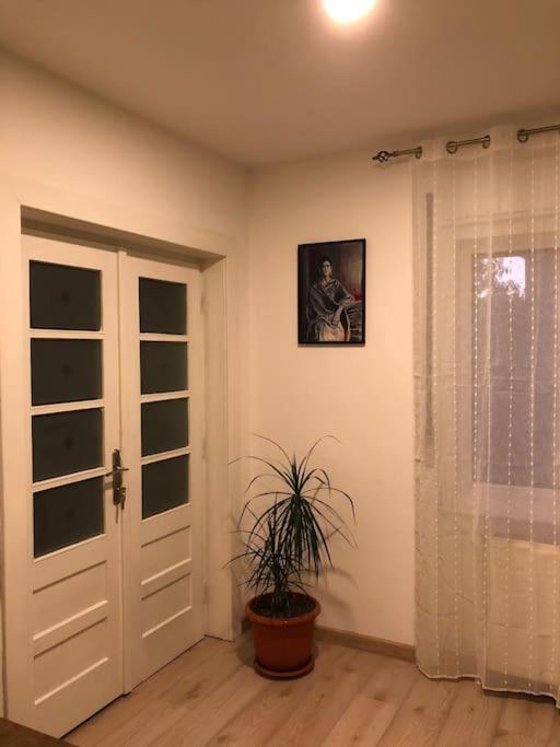 Вилла Casa Cu Trandafiri Бая-Маре Экстерьер фото